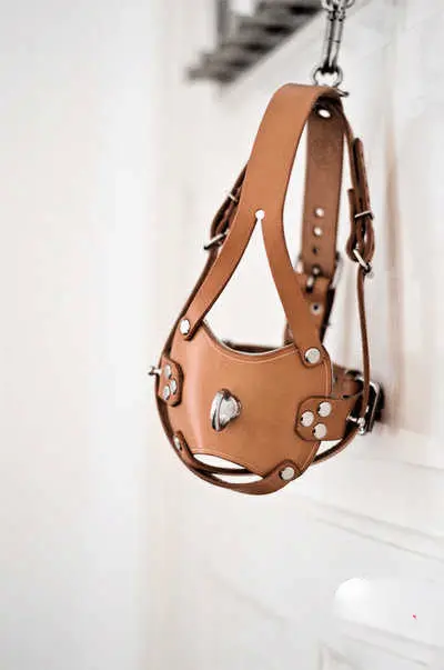 sub是什么？了解这一神秘标签的真实意义和背后的世界 一