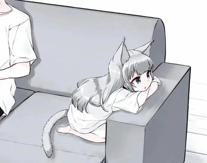 探索k8猫系：我如何发现自己在这个世界中的真实定位 一