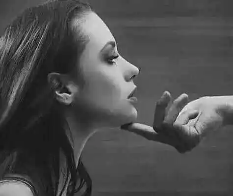 k8猫系到底是什么?猫奴们的梦想与现实解析 一