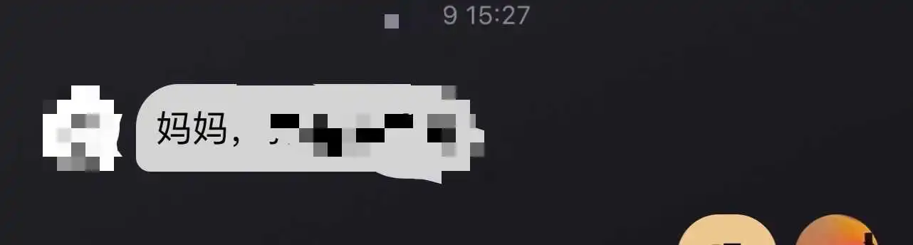 SP小圈的秘密世界:你准备好探索了吗? 一