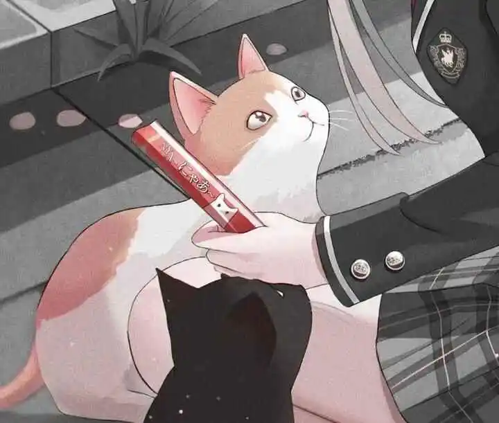 原来我也是k9犬系的爱好者 一