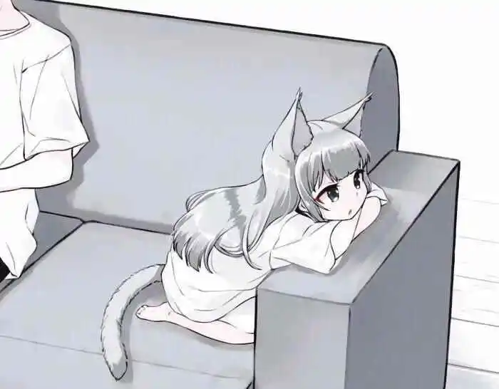 “探索k8猫系:从好奇到沉浸,你是否也被这个独特的世界吸引?” 一