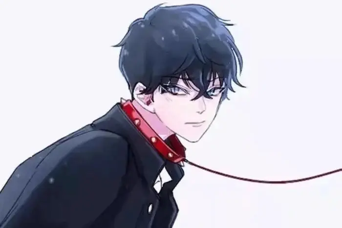 k9犬系是什么？了解它的魅力与玩法 一