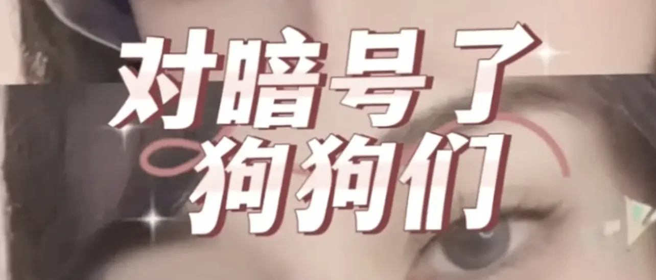 “ddlg是什么？”新手圈入门指南 一