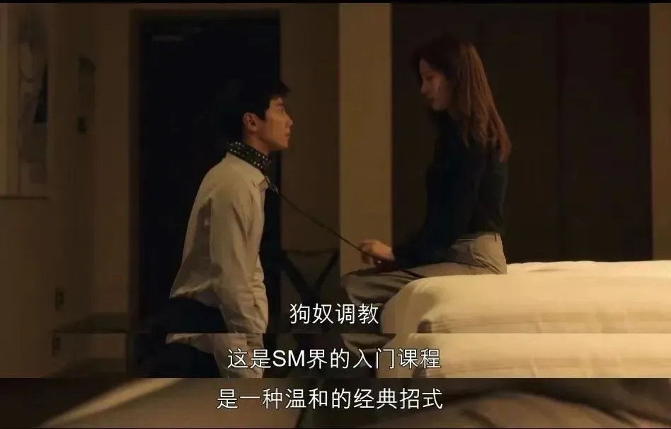 那些鲜为人知的s倾向-深入探讨字母圈里的快感与限制 一