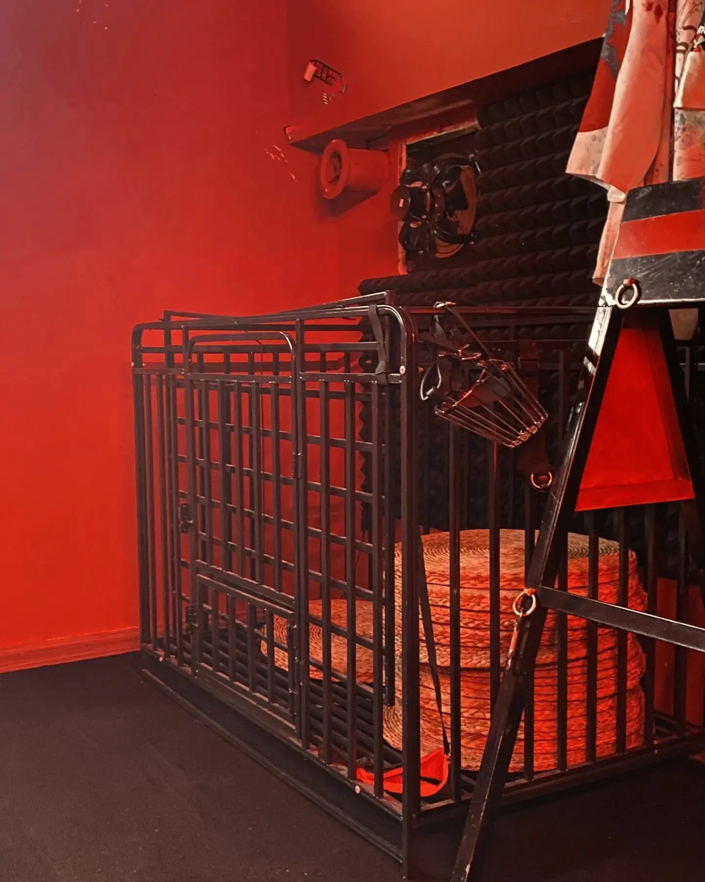 你知道ddlg是什么吗？我和我的伙伴在探索中发现的秘密！ 一