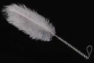 原来我也想体验字母圈的魅力 一