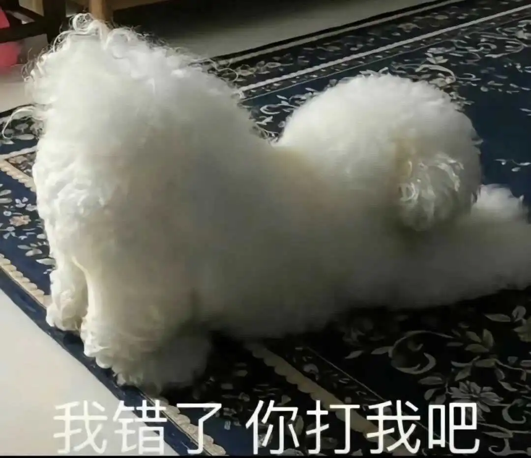 西檬之家spank是什么意思?字母圈Sp入门指南 一