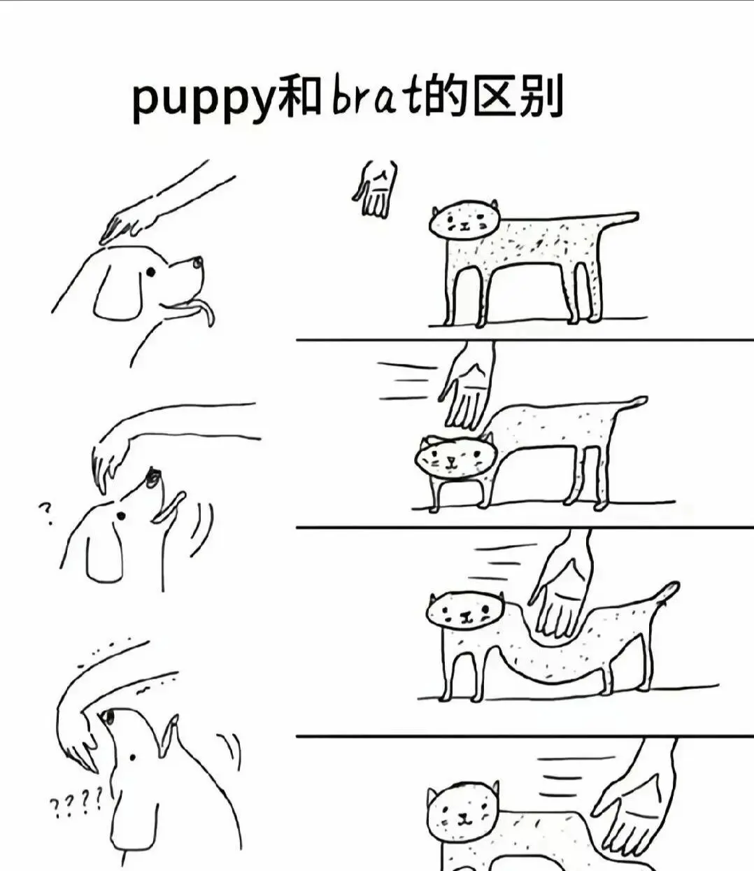 

西檬之家字母圈brat属性是什么？ 一