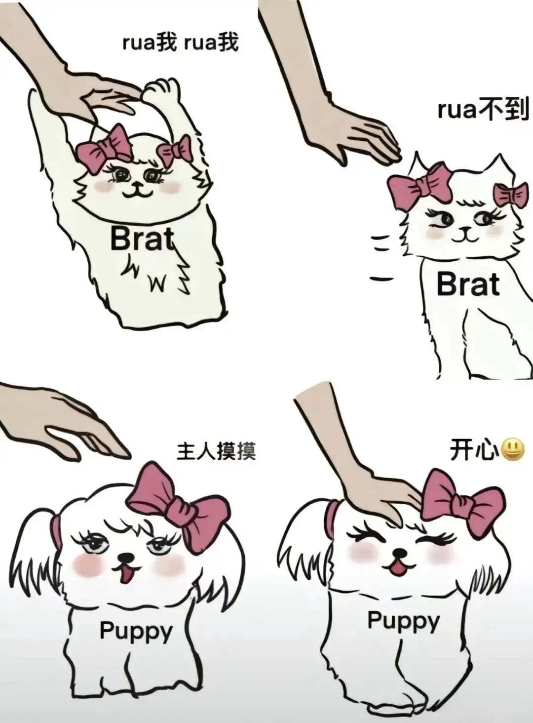 西檬之家k8猫系是什么?入门指南 一