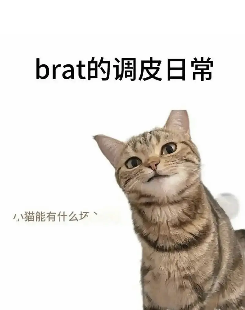 

西檬之家spank是什么意思？字母圈新手必看 一