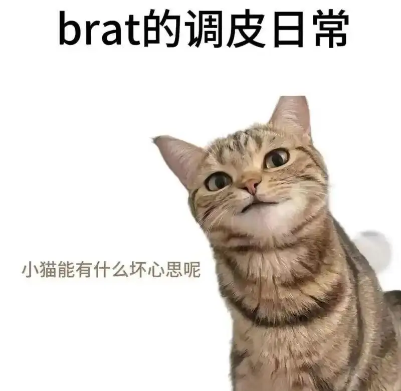 西檬之家SM亚文化是什么?新人入门指南 一