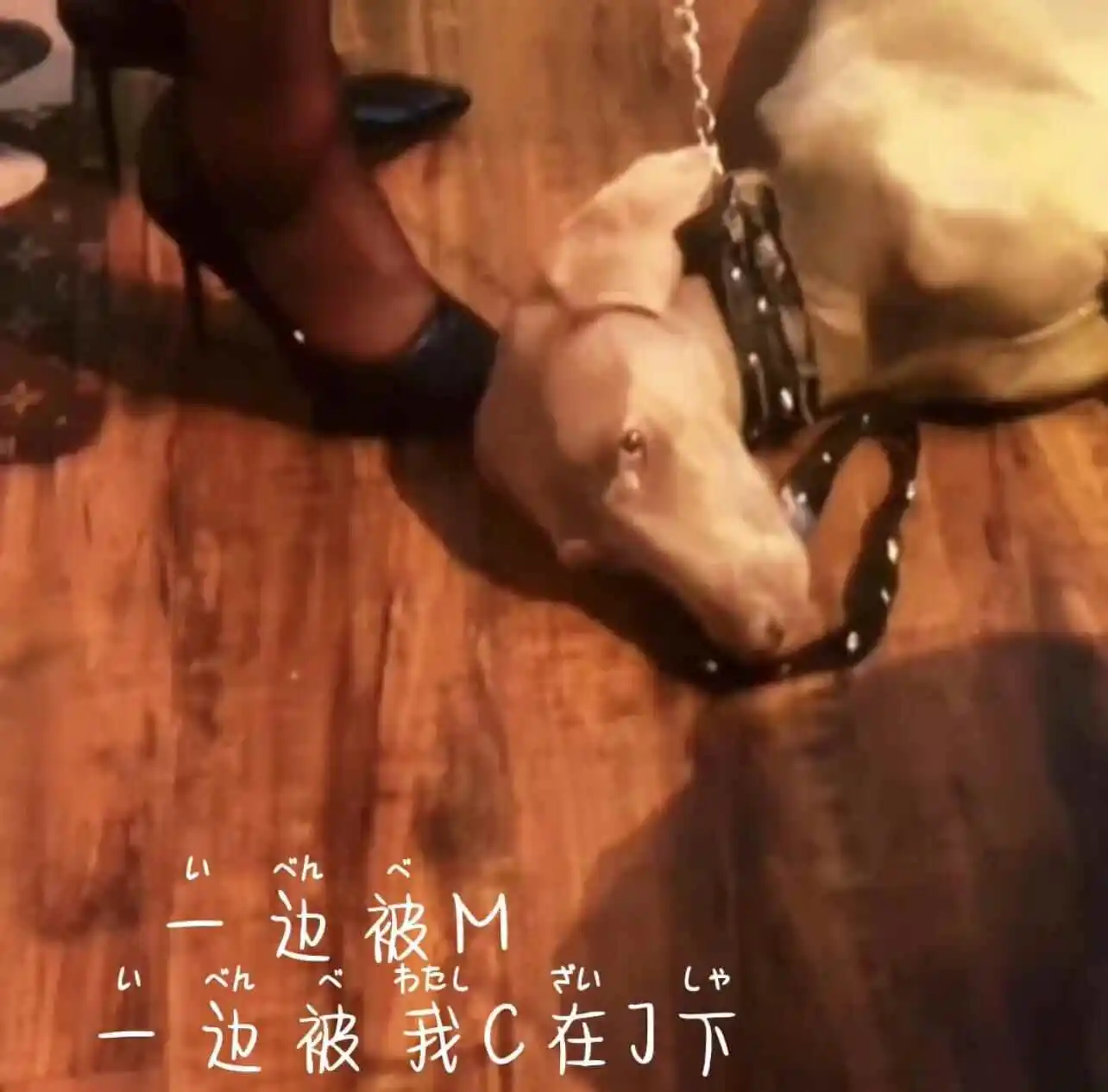 西檬之家sm亚文化是什么意思? 一