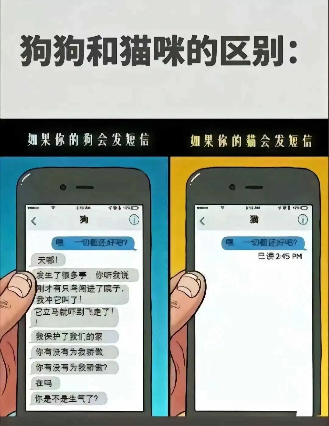 西檬之家BDSM新人入圈指南 一