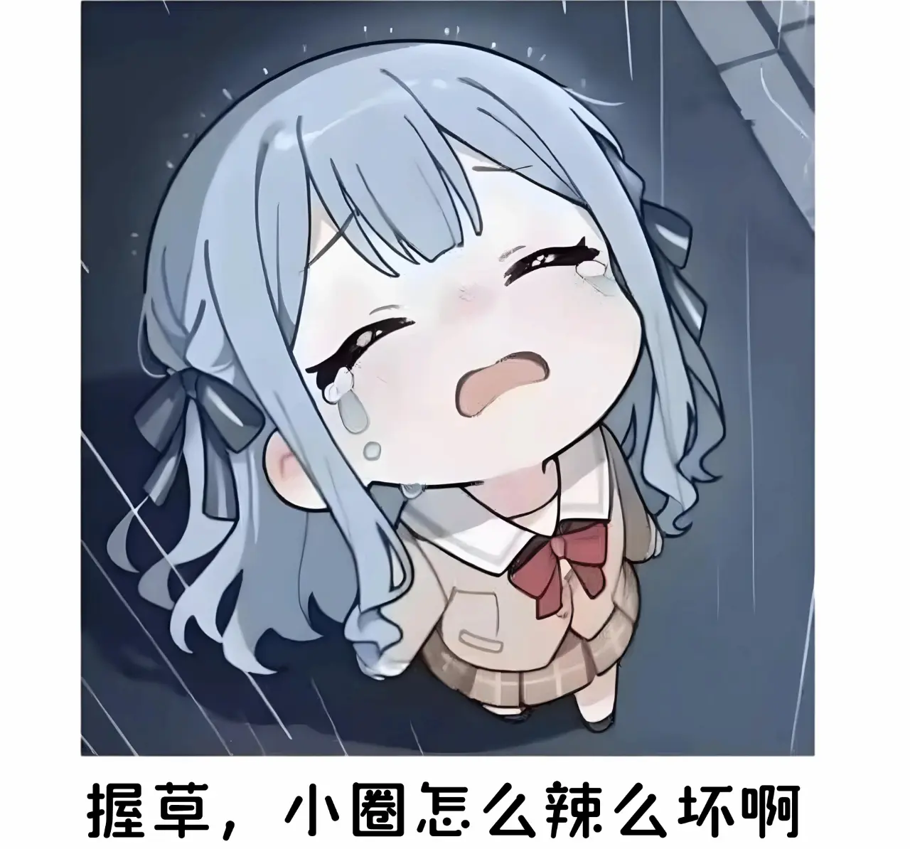 西檬之家sub是什么？你的字母圈角色 一